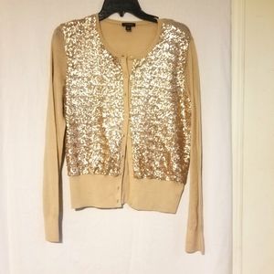 Ann Taylor beige sequin sweater